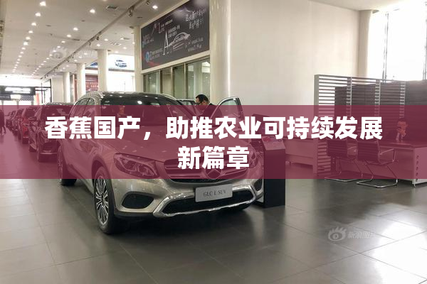 香蕉国产，助推农业可持续发展新篇章