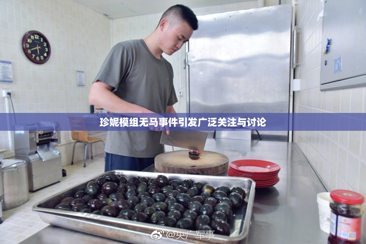 珍妮模组无马事件引发广泛关注与讨论