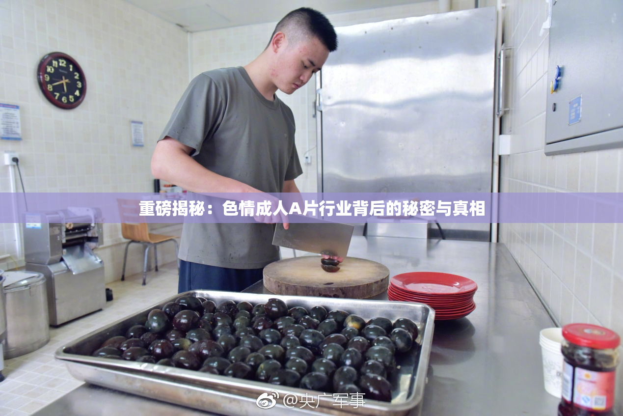 重磅揭秘：色情成人A片行业背后的秘密与真相