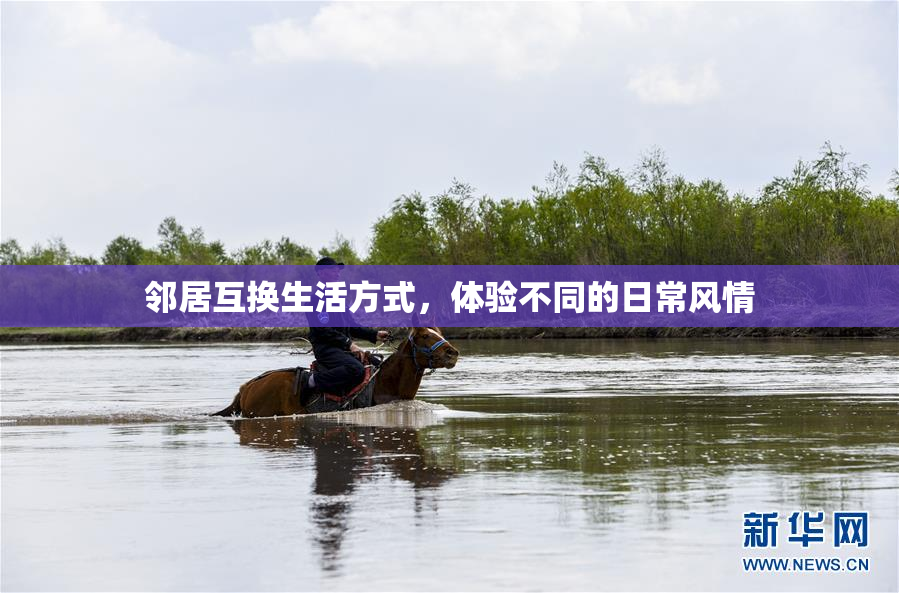 邻居互换生活方式，体验不同的日常风情