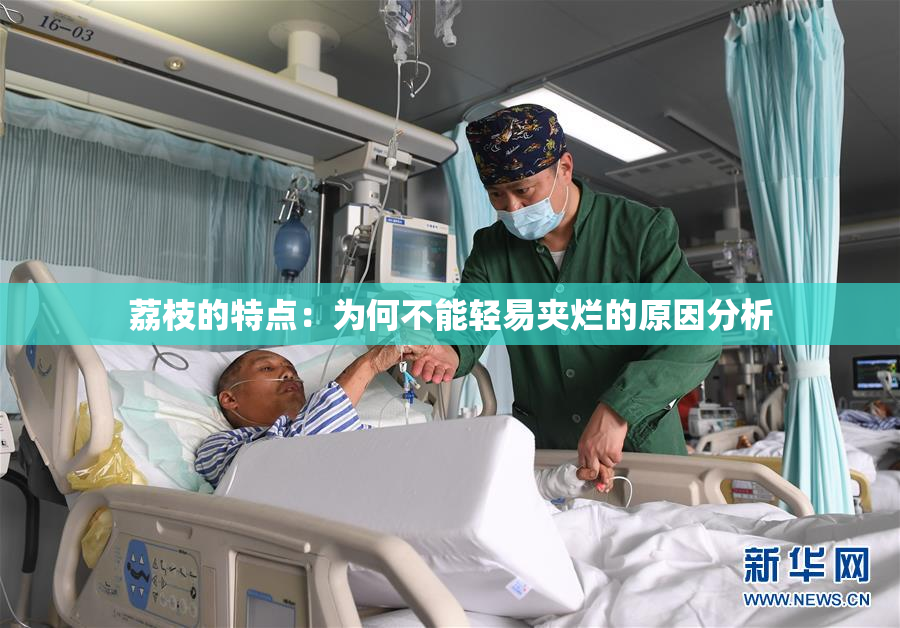 荔枝的特点：为何不能轻易夹烂的原因分析
