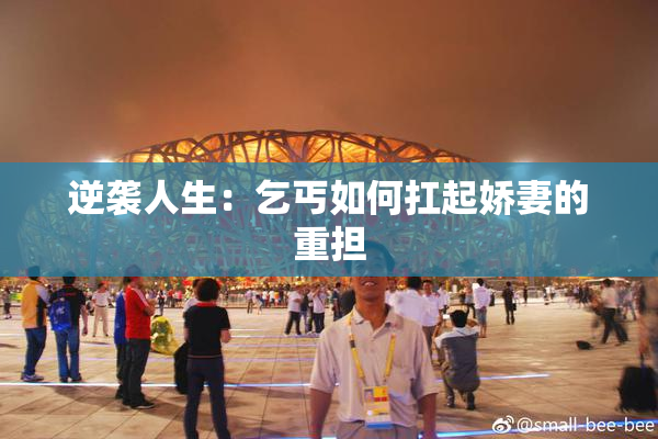 逆袭人生：乞丐如何扛起娇妻的重担