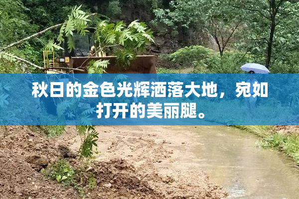 秋日的金色光辉洒落大地，宛如打开的美丽腿。
