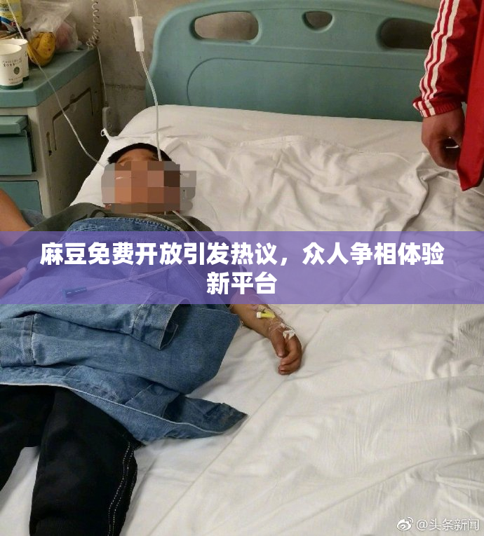 麻豆免费开放引发热议，众人争相体验新平台