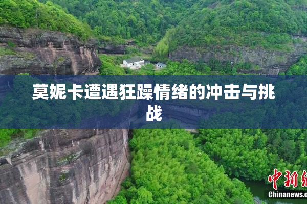 莫妮卡遭遇狂躁情绪的冲击与挑战