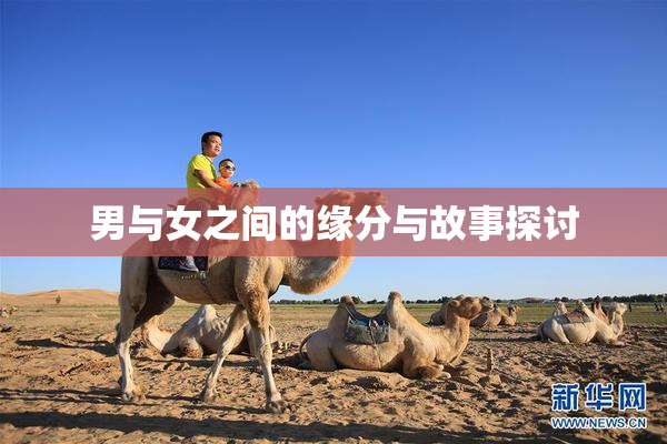 男与女之间的缘分与故事探讨