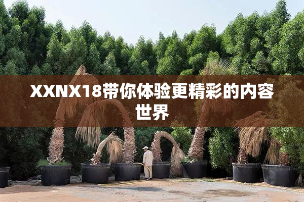 XXNX18带你体验更精彩的内容世界