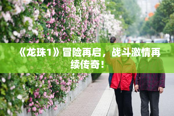 《龙珠1》冒险再启，战斗激情再续传奇！