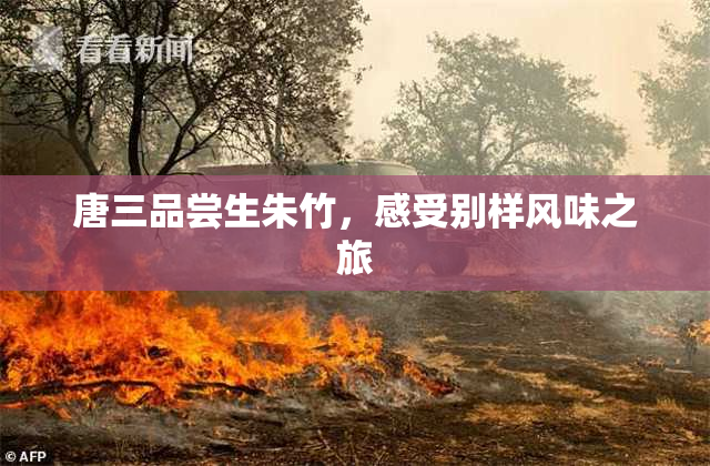 唐三品尝生朱竹，感受别样风味之旅