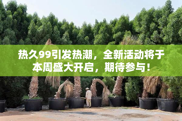 热久99引发热潮，全新活动将于本周盛大开启，期待参与！