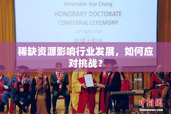 稀缺资源影响行业发展，如何应对挑战？