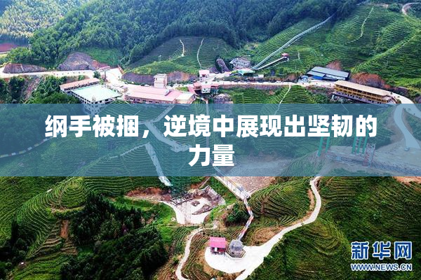 纲手被捆，逆境中展现出坚韧的力量