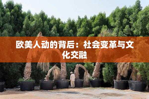 欧美人动的背后：社会变革与文化交融
