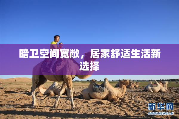 暗卫空间宽敞，居家舒适生活新选择