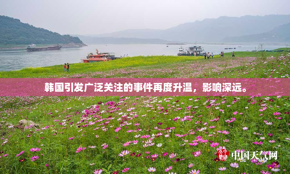 韩国引发广泛关注的事件再度升温，影响深远。