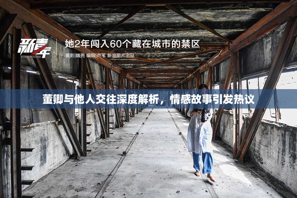董卿与他人交往深度解析，情感故事引发热议