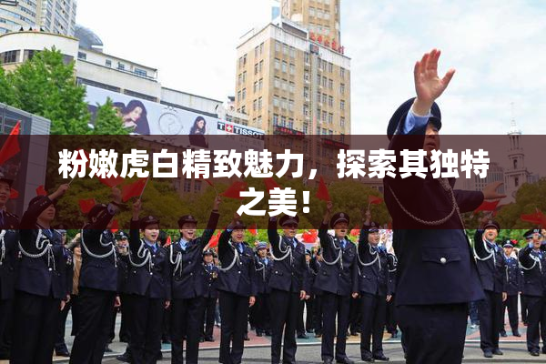 粉嫩虎白精致魅力，探索其独特之美！