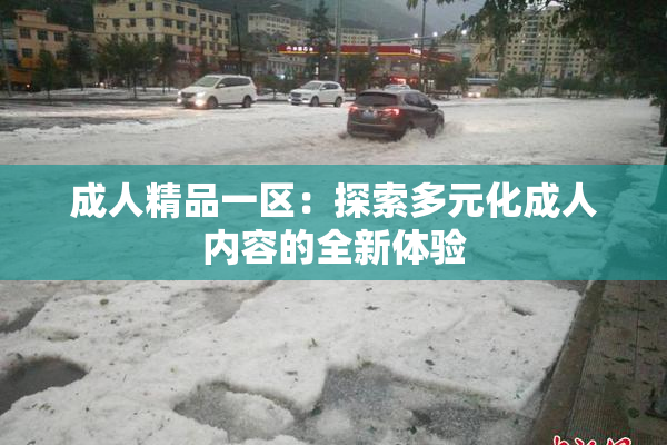 成人精品一区：探索多元化成人内容的全新体验