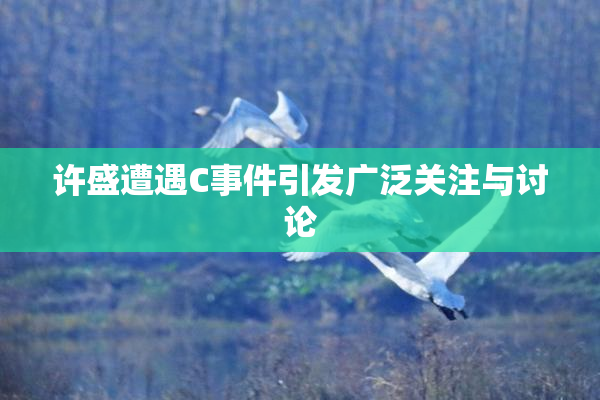 许盛遭遇C事件引发广泛关注与讨论