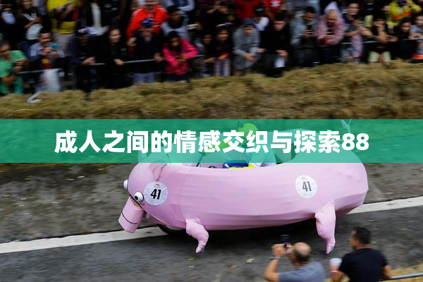 成人之间的情感交织与探索88