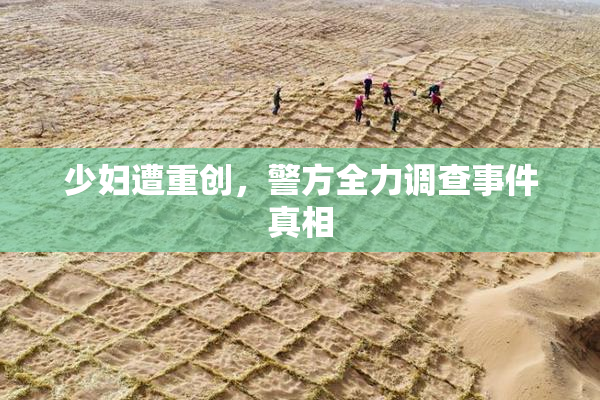 少妇遭重创，警方全力调查事件真相