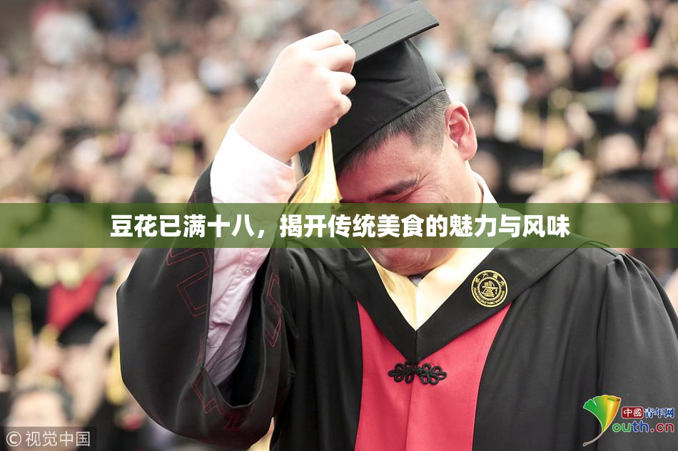 豆花已满十八，揭开传统美食的魅力与风味