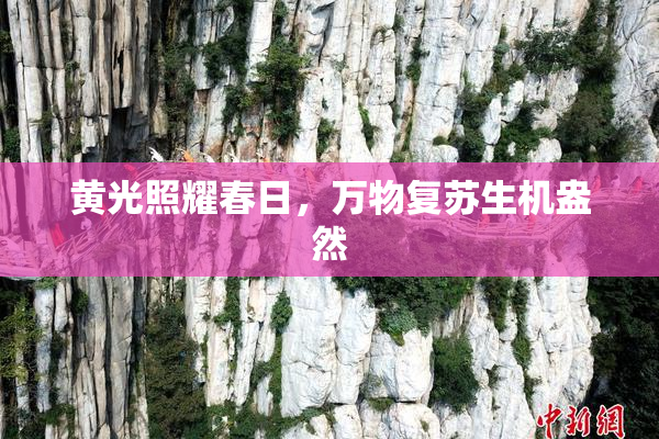黄光照耀春日，万物复苏生机盎然