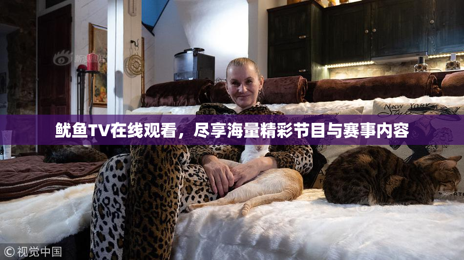 鱿鱼TV在线观看，尽享海量精彩节目与赛事内容