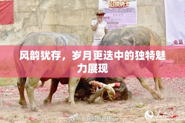 风韵犹存，岁月更迭中的独特魅力展现