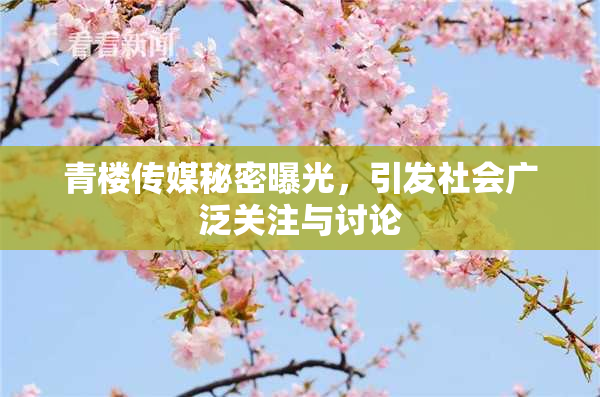 青楼传媒秘密曝光，引发社会广泛关注与讨论