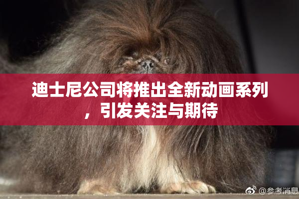 迪士尼公司将推出全新动画系列，引发关注与期待