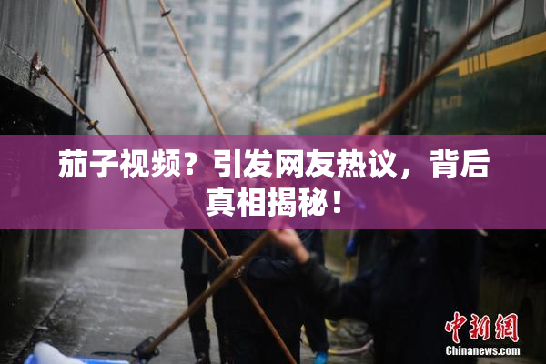 茄子视频？引发网友热议，背后真相揭秘！