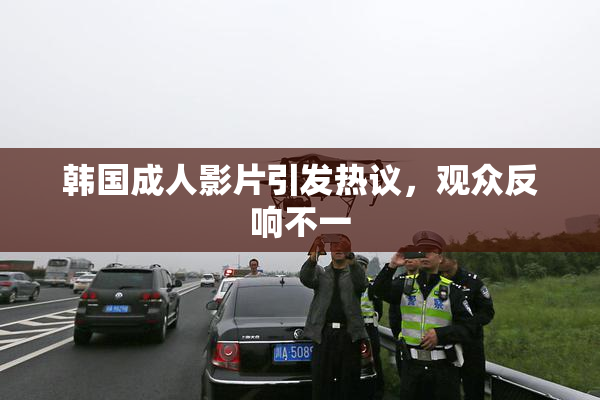 韩国成人影片引发热议，观众反响不一