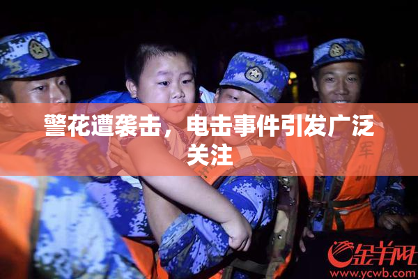 警花遭袭击，电击事件引发广泛关注