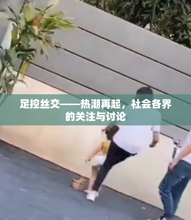 足控丝交——热潮再起，社会各界的关注与讨论