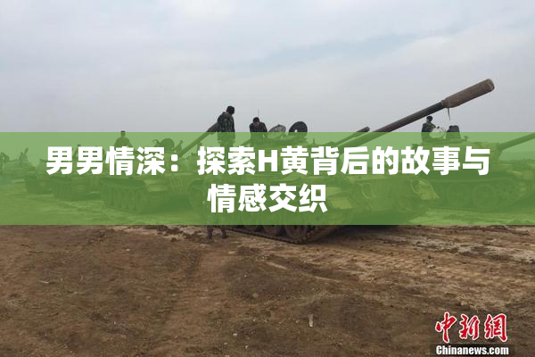 男男情深：探索H黄背后的故事与情感交织