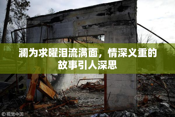 澜为求曜泪流满面，情深义重的故事引人深思