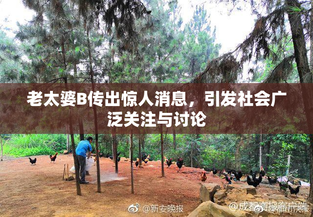 老太婆B传出惊人消息，引发社会广泛关注与讨论