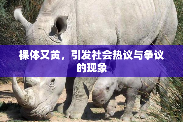 裸体又黄，引发社会热议与争议的现象