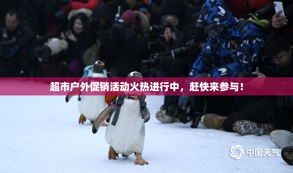 超市户外促销活动火热进行中，赶快来参与！