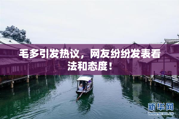 毛多引发热议，网友纷纷发表看法和态度！