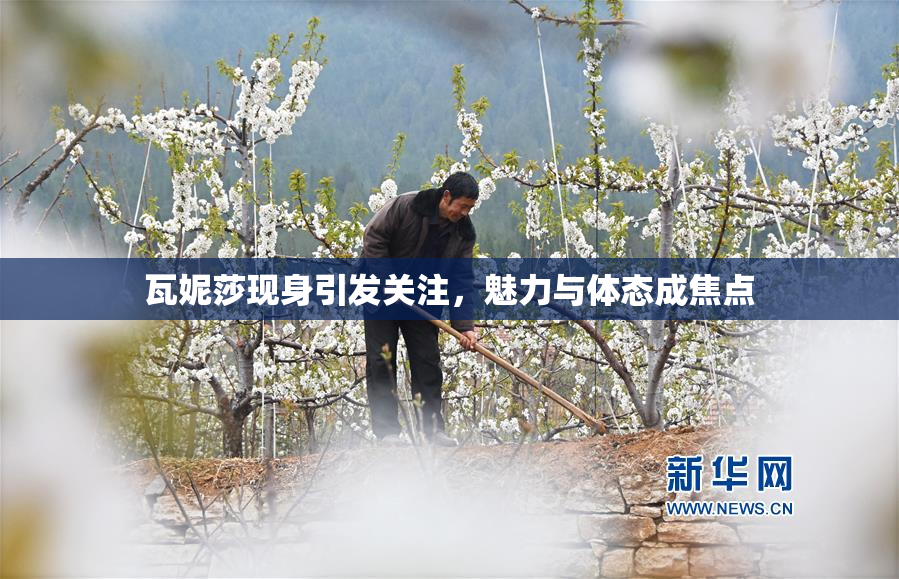 瓦妮莎现身引发关注，魅力与体态成焦点