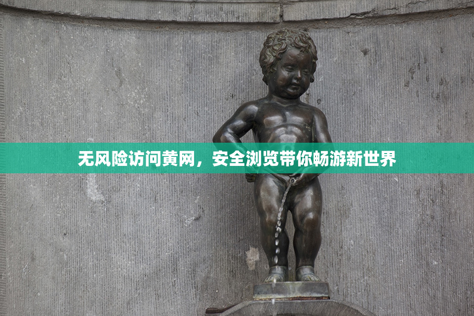 无风险访问黄网，安全浏览带你畅游新世界