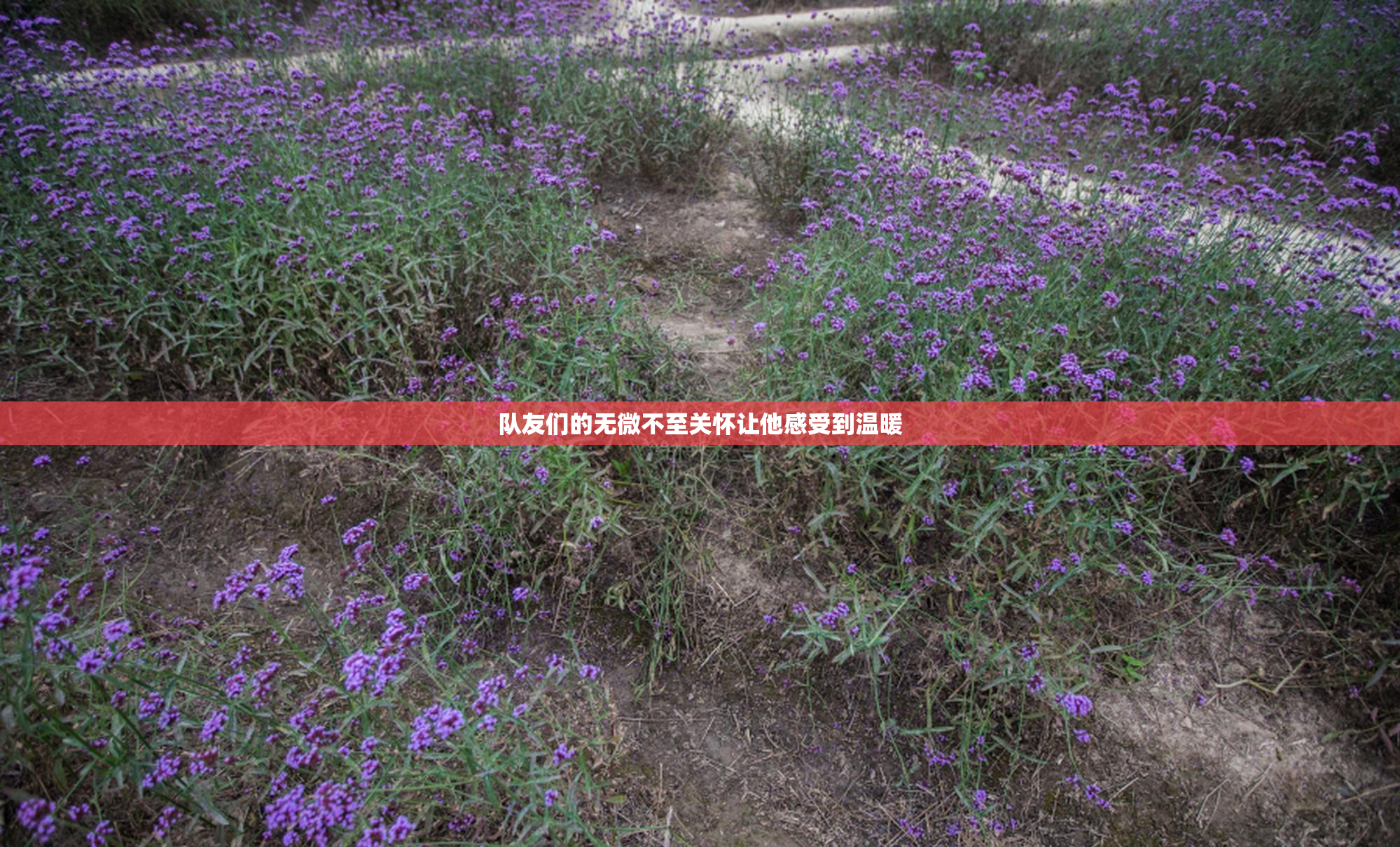 队友们的无微不至关怀让他感受到温暖