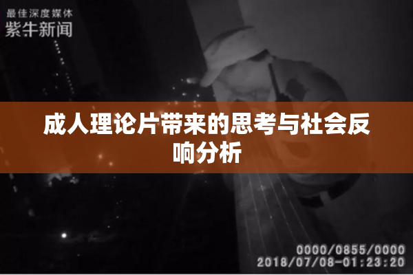 成人理论片带来的思考与社会反响分析