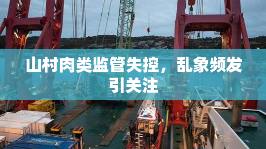 山村肉类监管失控，乱象频发引关注