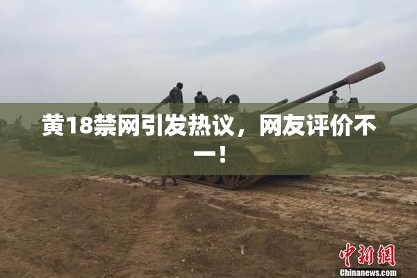 黄18禁网引发热议，网友评价不一！