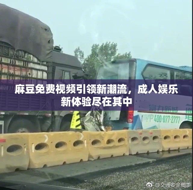 麻豆免费视频引领新潮流，成人娱乐新体验尽在其中