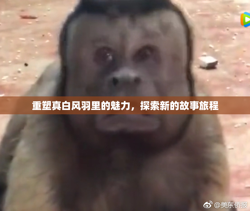 重塑真白风羽里的魅力，探索新的故事旅程