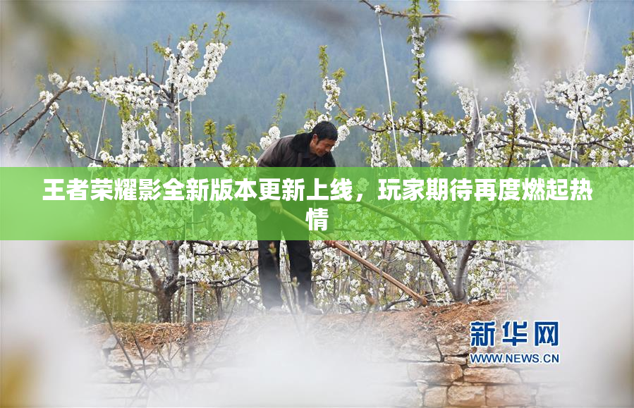 王者荣耀影全新版本更新上线，玩家期待再度燃起热情